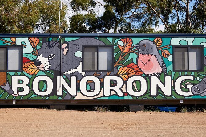 Hobart Shore Excursion: Bonorong Bus - Key Points