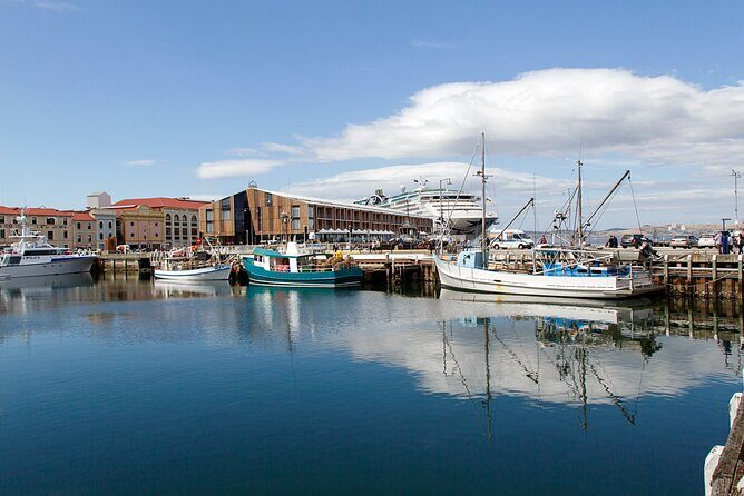 Hobart Shore Excursion: Hobart Attractions Bus - Transportation and Practical Details