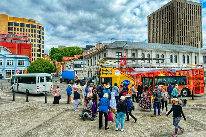 Hobart Shore Excursion-Open Top City Explorer Tour 11.15am - What the Tour Feels Like