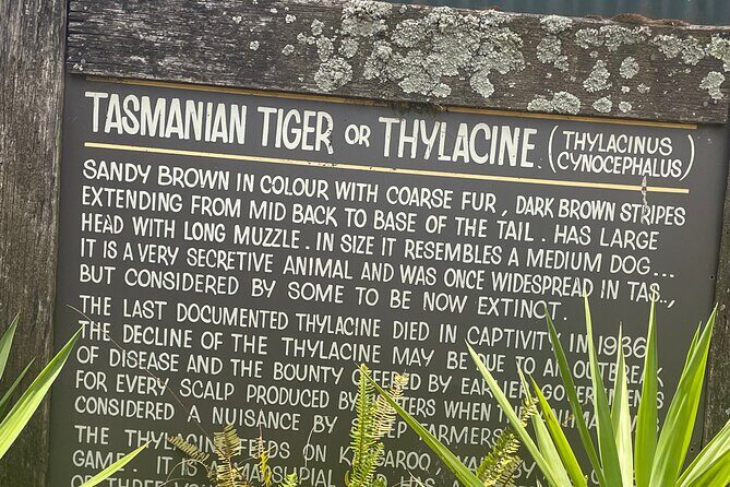 Hobart Signature Shore Excursion Small Group - An In-Depth Look at the Hobart Signature Shore Excursion