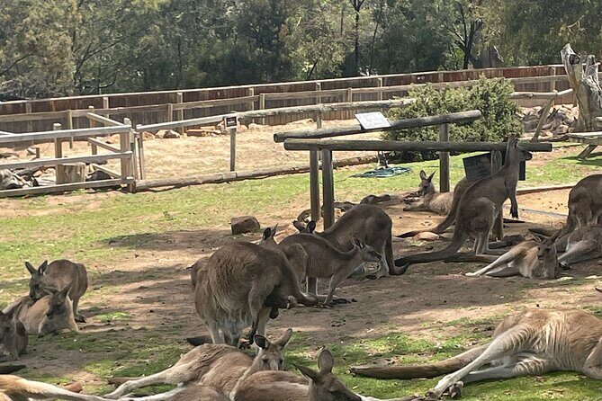 Hobart Signature Shore Excursion Small Group - Who Will Love This Tour