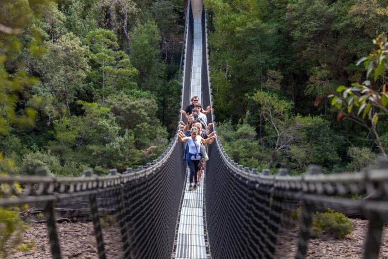 Hobart: Tahune Airwalk, Hastings Cave, Thermal Springs Tour - A Full Look at the Day’s Journey