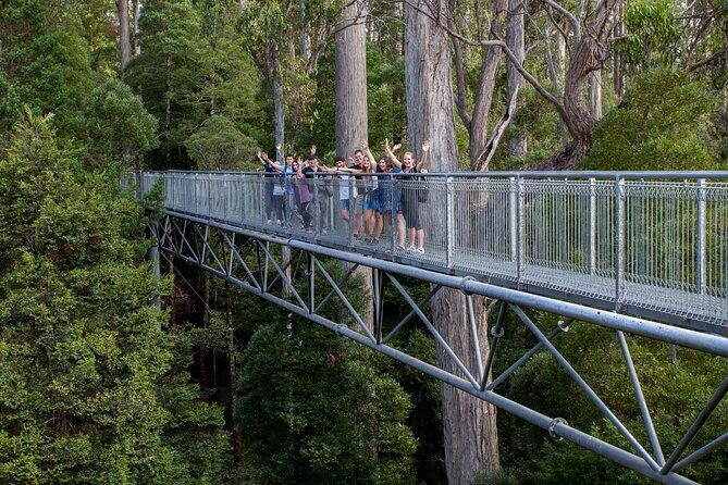 Hobart: Tahune Airwalk, Hastings Caves & Thermal Springs Pool - Wrapping It Up