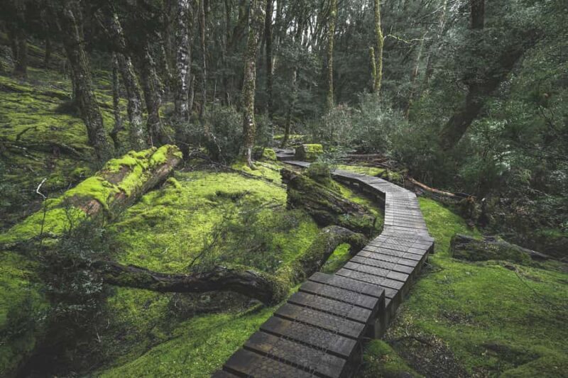 Hobart to Cradle Mountain to Launceston - A Deep Dive into the Experience