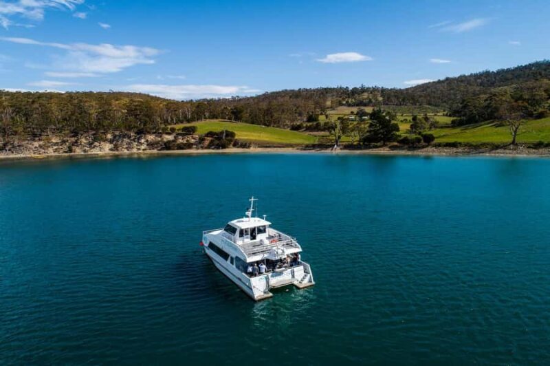 Hobart: Ultimate Seafood Cruise on a Spacious Catamaran - What to Expect on the Ultimate Seafood Cruise