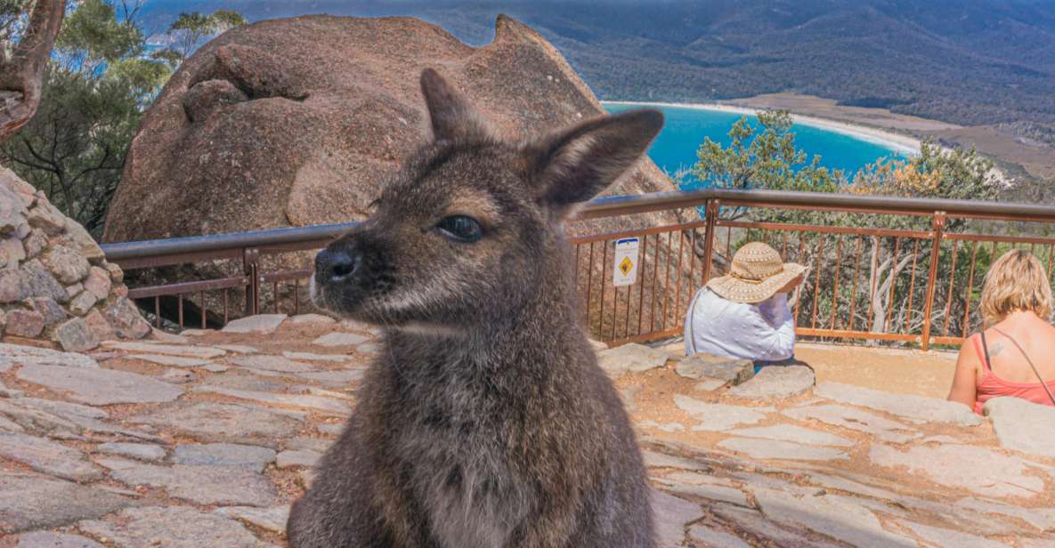 Hobart: Wineglass Bay, Freycinet Park, and Richmond Tour - Itinerary Overview