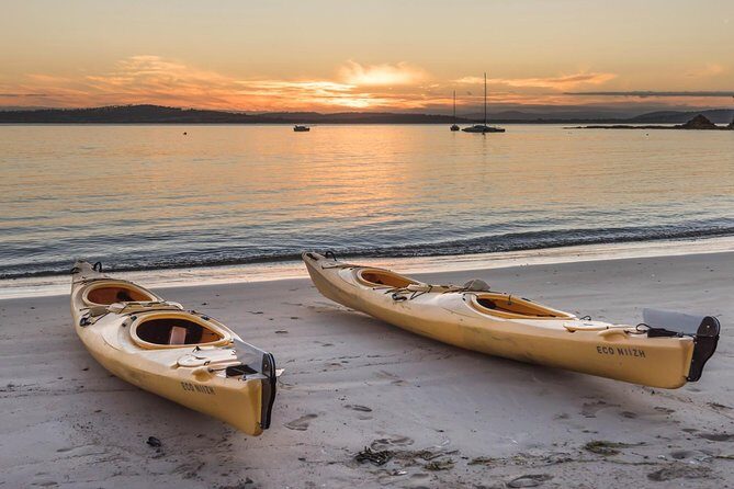 Hobart's Cliffs, Caves and Beaches Kayak Tour - The Practicalities: What to Expect