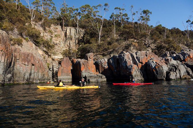 Hobart's Cliffs, Caves and Beaches Kayak Tour - Customer Feedback and Authentic Experiences