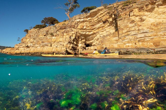 Hobart's Cliffs, Caves and Beaches Kayak Tour - Value for Money