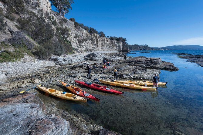 Hobart's Cliffs, Caves and Beaches Kayak Tour - Who Will Love This Tour?