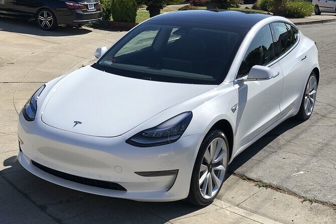 Hobbiton Movie Set Small Group Private Transfer from Auckland - Why This Tour Stands Out