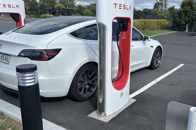 Hobbiton Movie Set Small Group Private Transfer from Auckland - Who Is This Tour Best For?