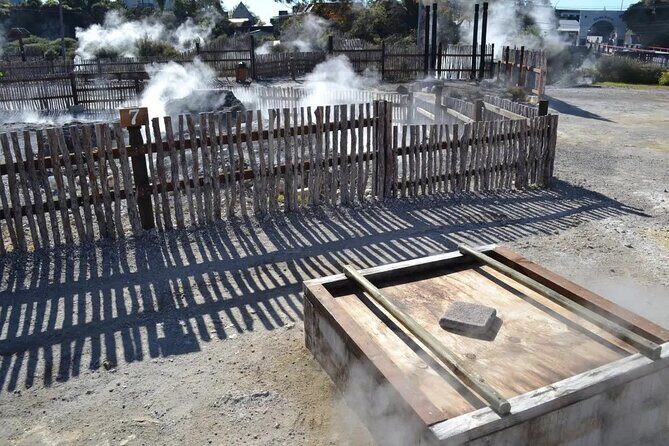 Hobbiton & Rotorua Mori Village with Lunch from Auckland - FAQs