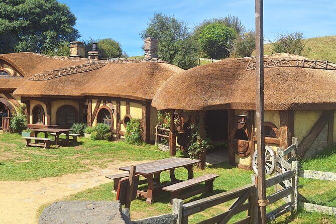 Hobbiton Small group Tour from Tauranga Port - The Value and Who It’s Best For
