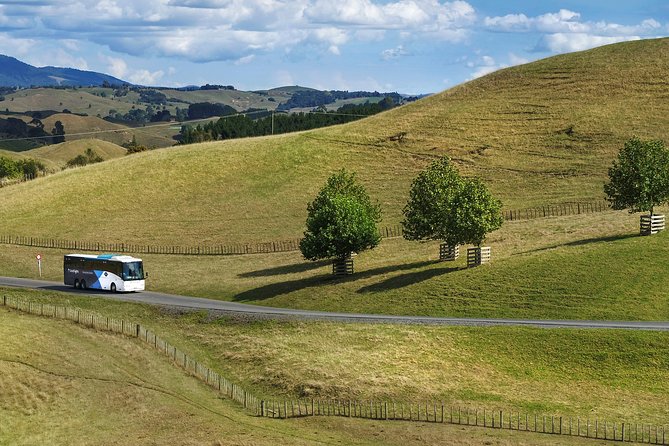Hobbiton & Waitomo Caves Guided Tour From Auckland With Lunch - Booking and Cancellation Policy
