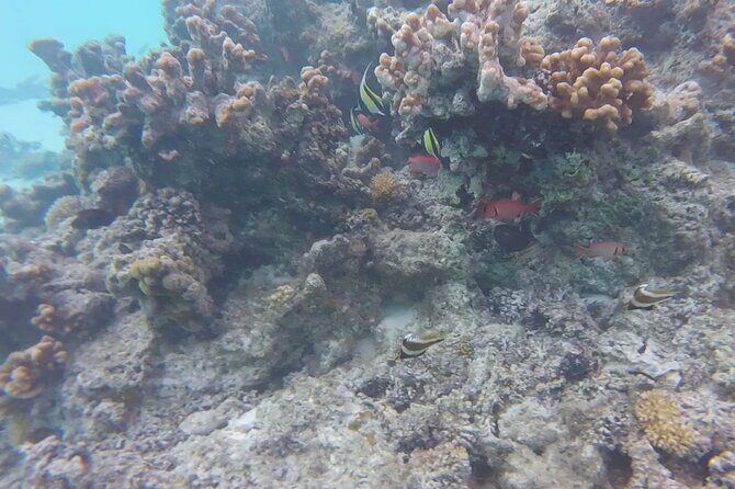 Hobie Cat Saipan Lagoon Sailing Tour - Who Will Love This Tour?