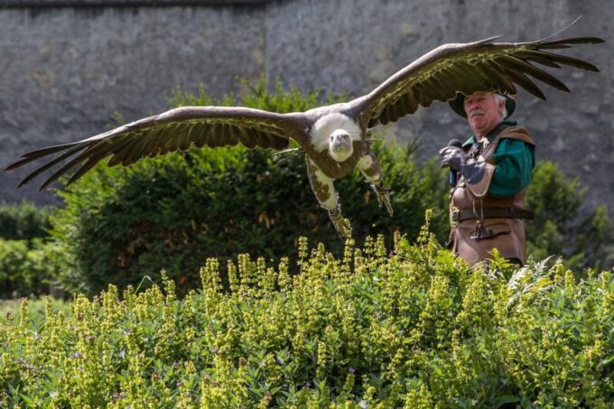 Hohenwerfen Castle Entrance Ticket - Accessibility and Directions