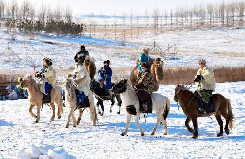 Hohhot: 6-Day Private Tour to Huitengxile and Kubuqi Desert - Final Thoughts