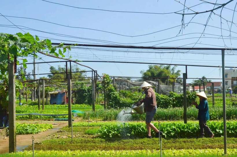Hoi An: 3 Traditional Handicraft Villages In 1 Tour - Kim Bong Carpentry Village Insights