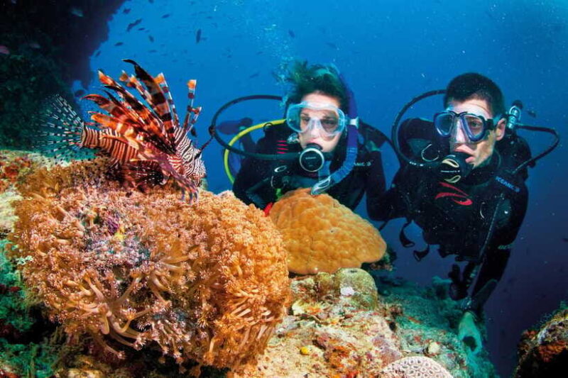 Hoi An: Cham Island Speedboat Day Trip - Inclusions and Exclusions