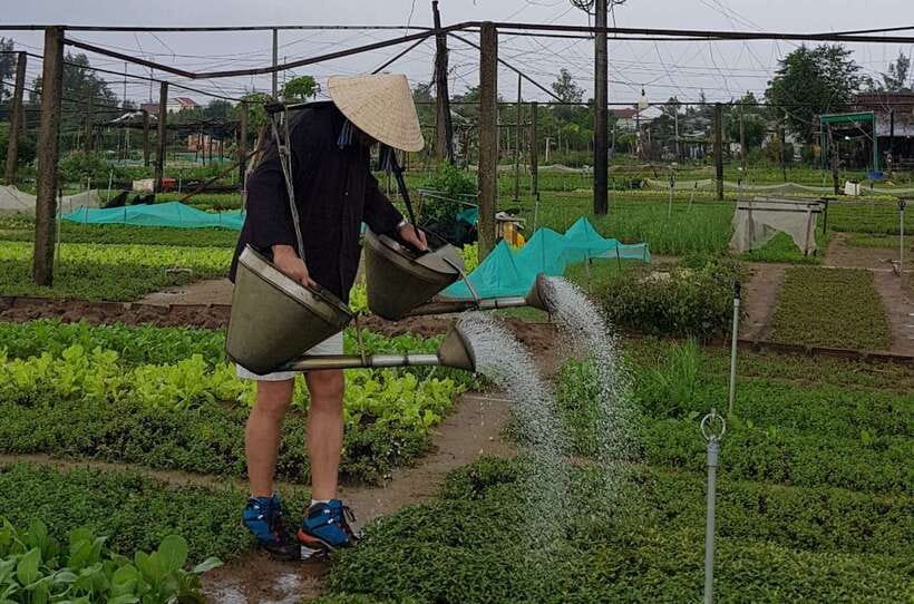 Hoi An Cooking Class With Market and Bamboo Basket Boat Tour - Key Points