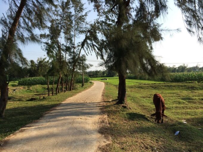 Hoi An: Countryside Bike Tour to Kim Bong Village - Local Culture and Crafts