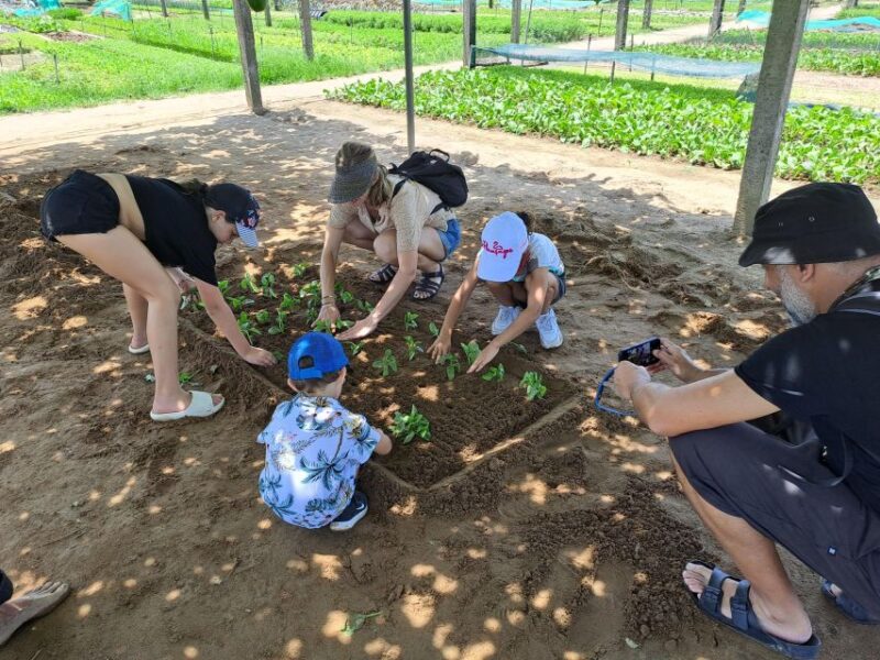 Hoi an Countryside: Biking, Basket Boat, Herb Gardens, Rice - Pickup and Transportation