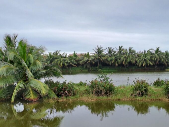 Hoi an Countryside: Biking, Basket Boat, Herb Gardens, Rice - Frequently Asked Questions