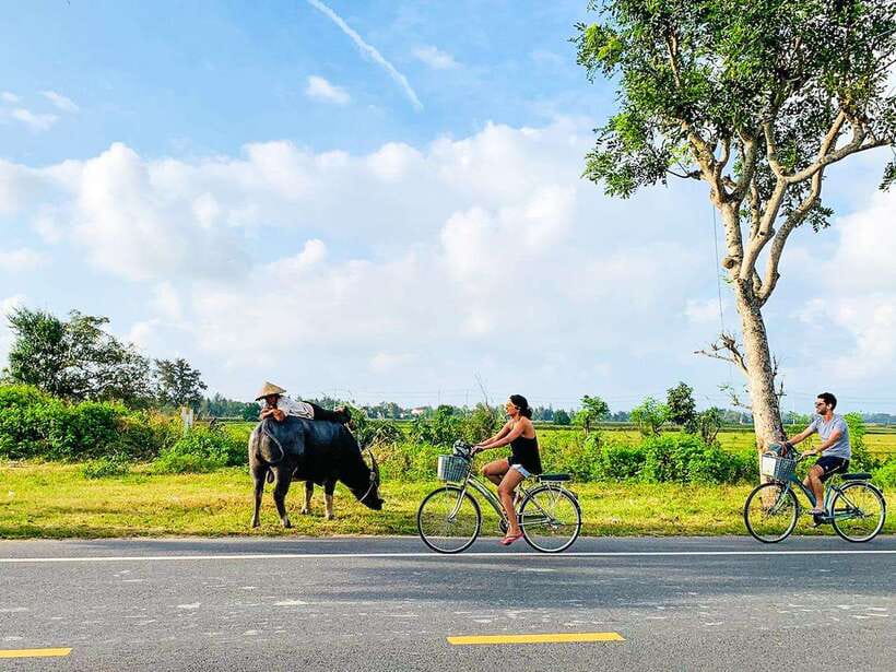 Hoi An: Countryside Cycling Tour With Local Life Insights - Inclusions and Practical Information