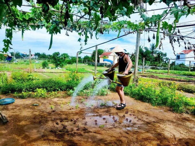 Hoi an Countryside Discovery by Motorbike Tour - Tips for a Great Experience
