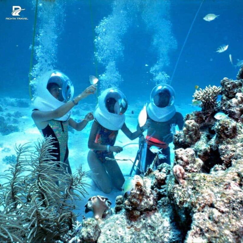 Hoi An: Cu Lao Cham Islands Day Trip With Snorkeling - Transportation and Logistics