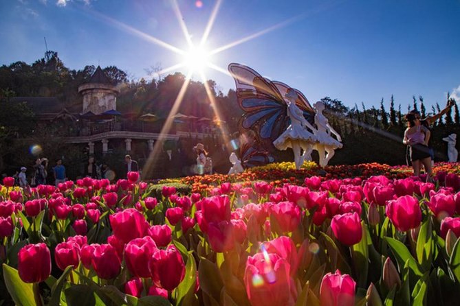 Hoi an / Da Nang - Ba Na Hills - Golden Bridge Deluxe Small Group - Additional Tour Information