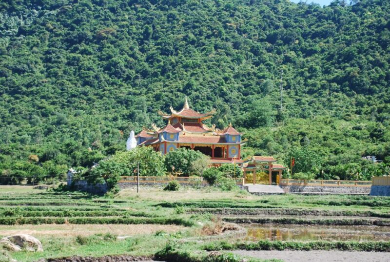 Hoi An/ Da Nang: Cham Island Discovery Tour - Inclusions and Important Information