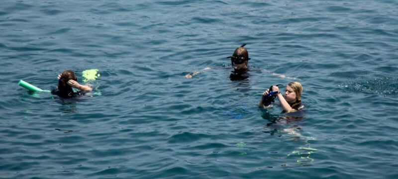 Hoi An/ Da Nang: Cham Island Discovery Tour - Tour Highlights