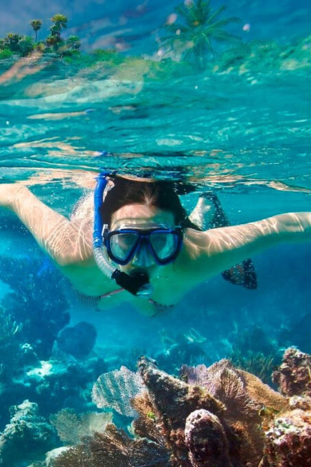 Hoi An/Da Nang:Cham Island Daily Tour-Snorkeling Experience - Snorkeling Experience