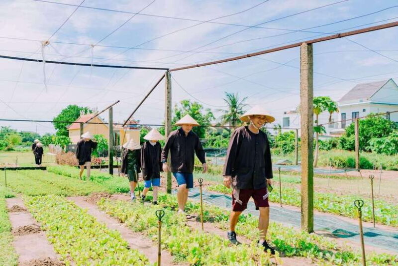Hoi An Eco Tour : Bike, Farm and Lantern Making Experience - Key Points