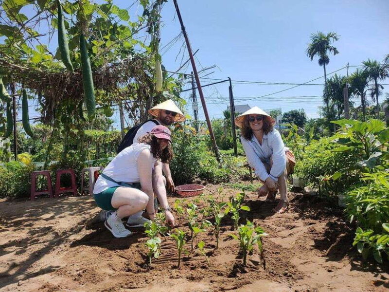 Hoi An Eco Tour : Bike, Farm and Lantern Making Experience - Itinerary and Activities