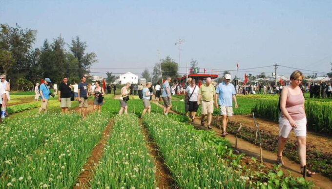Hoi An Eco Tour : Bike, Farm and Lantern Making Experience - Booking and Cancellation Policy