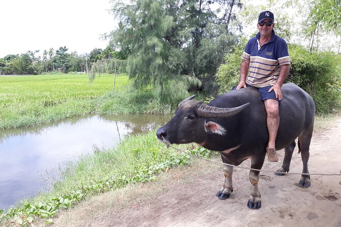 Hoi an Eco Tour: Biking, Basket Boat, Buffalo, Farming, Foods - Reviews and Guest Experiences
