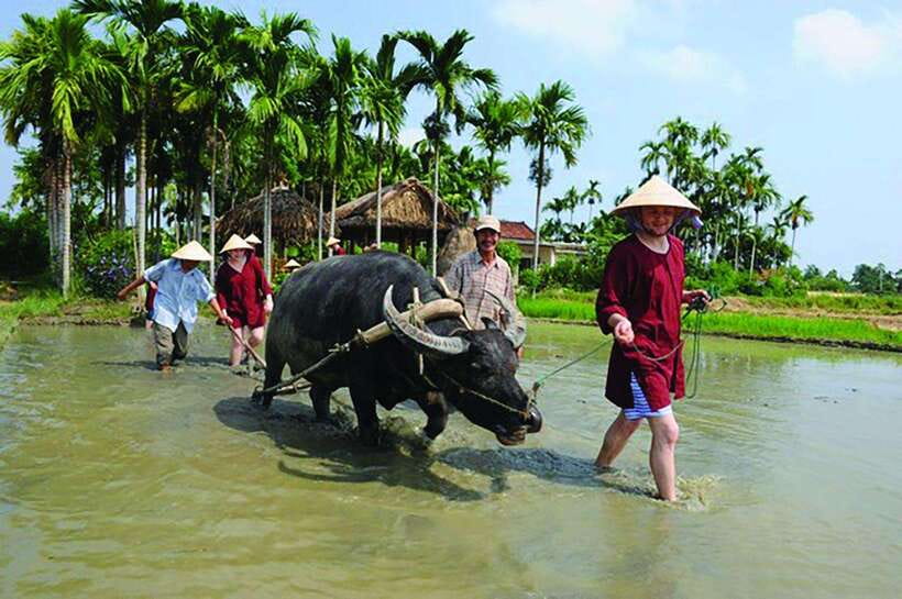 Hoi An: Farming and Fishing Tour With Basket Boat Ride - Important Information for Participants
