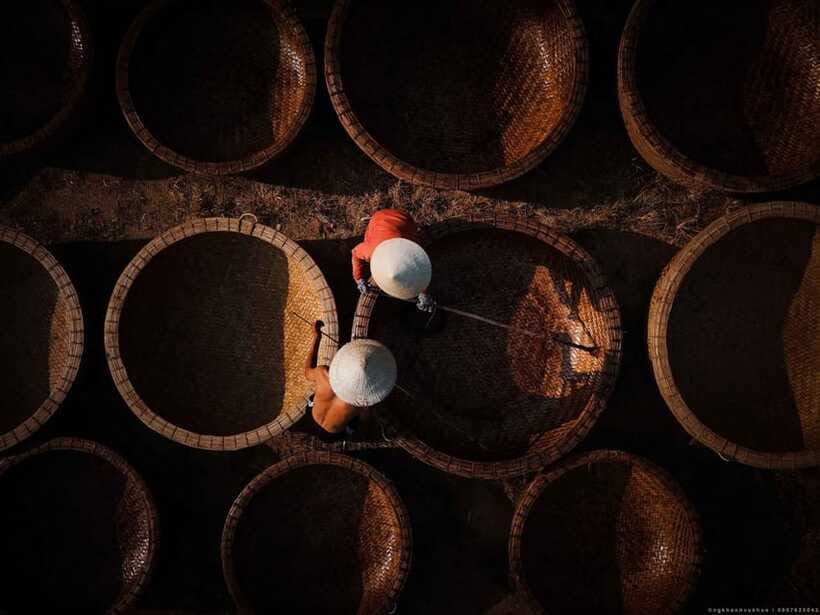 Hoi An: Farming and Fishing Tour With Basket Boat Ride - Customer Reviews and Experiences