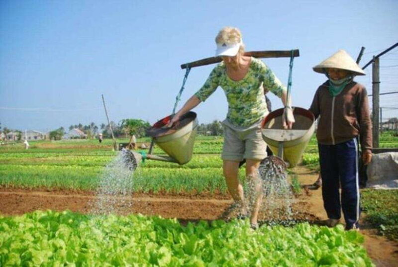 Hoi An Fishing Village & Cooking Tour - Highlights of the Experience