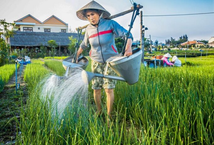 Hoi An: Half-day Biking Through Hoi An's Culinary Delights - Returning to Hoi An