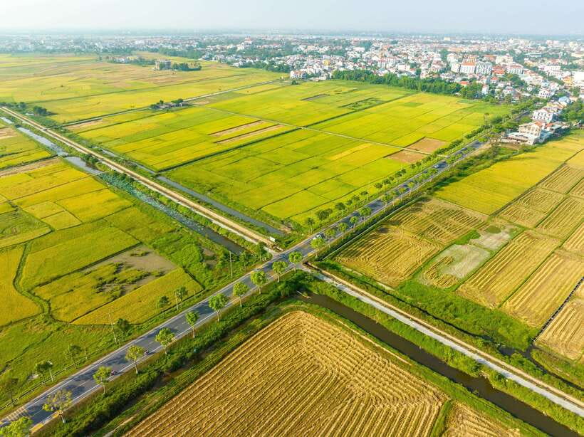 Hoi An: Half-day Farm To Table Adventure In Tra Que Village - Transportation and Accessibility