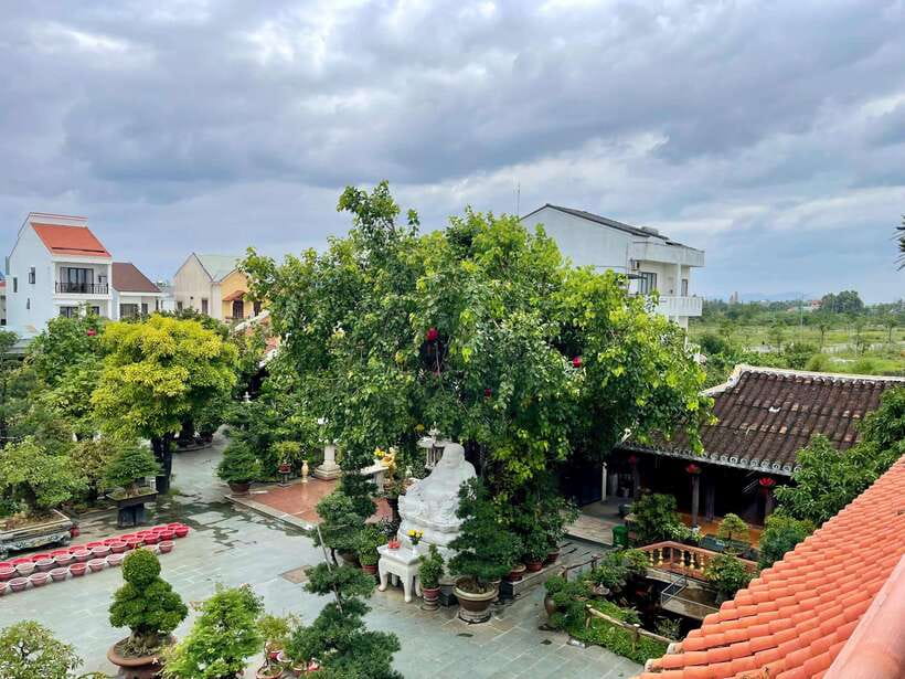 Hoi an - Half-Day Mindfulness Meditation Retreat - Included Services and Requirements