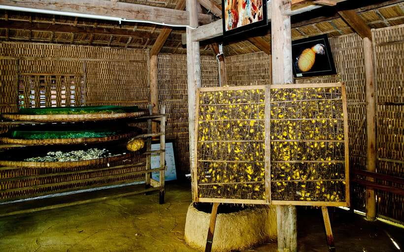 Hoi An: Half-day Silk Weaving Discovery Tour - Frequently Asked Questions
