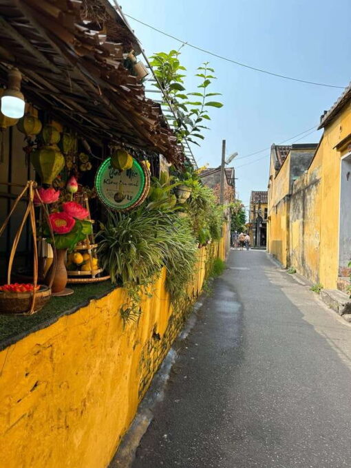 Hoi An: Lantern-Lit Streets, Enjoy Local Food, and Boat Ride - Serene Boat Cruise on Thu Bon River