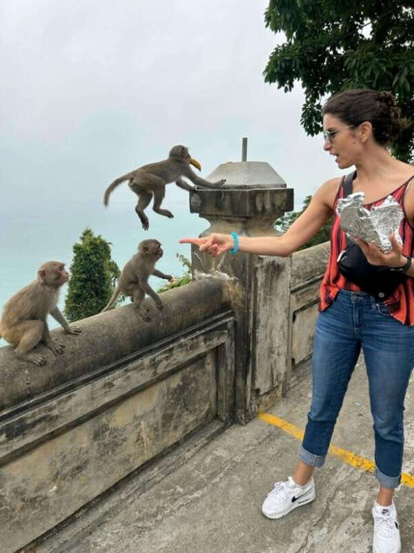 Hoi An: Marble Mountain & My Son Sanctuary Full-Day Trip - Discovering My Son Sanctuary