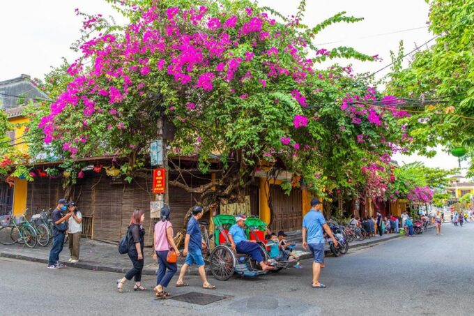 Hoi An: My Son Sanctuary & Ancient Town Day Tour With Lunch - Whats Included in the Tour