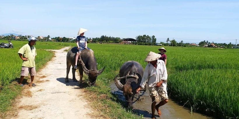Hoi an : My Son Sanctuary and Boat Trip With Hotel Pickup - Highlights